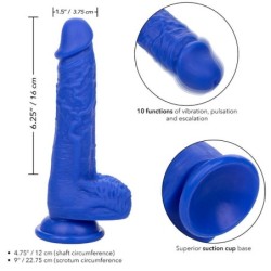 CALEXOTICS - ADMIRAL SAILOR DILDO REALÍSTICO VIBRADOR AZUL