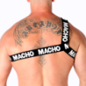 MACHO - ARNÉS ROMANO BLANCO L/XL