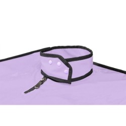 SECRET DOME - KINK CLUB LA NICHE CABINA  MORADO