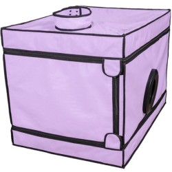 SECRET DOME - KINK CLUB LA NICHE CABINA  MORADO