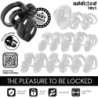 ADDICTED TOYS LOCKED - ETERNAL LOCK JAULA PARA PENE 9 CM
