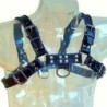 LEATHER BODY - ARNÉS CUERO AZUL Y NEGRO CHEST BULLDOG